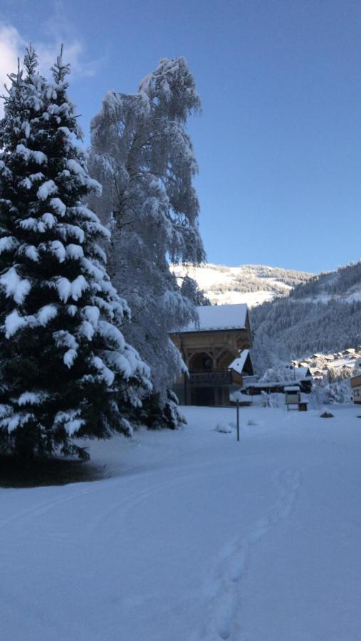 La Montagne « un Coin D'oxygene » Apartamento *
