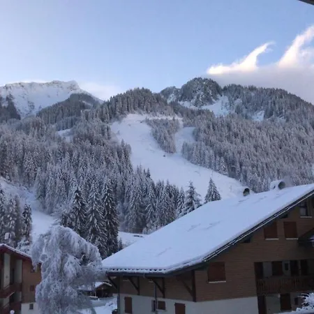 Ferienwohnung La Montagne « Un Coin D'Oxygene » Châtel Exterior foto