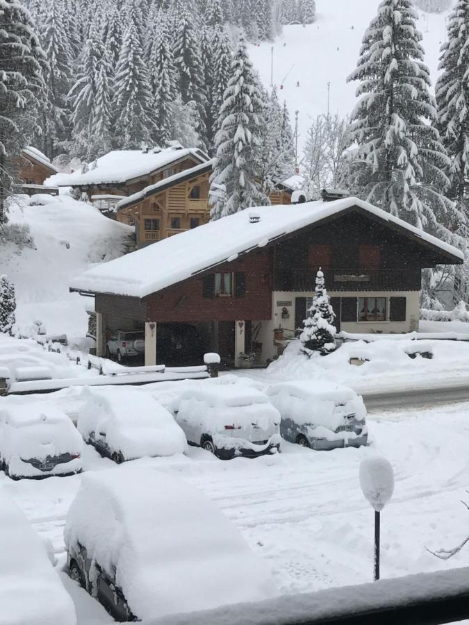 La Montagne « un Coin D'oxygene » * Châtel