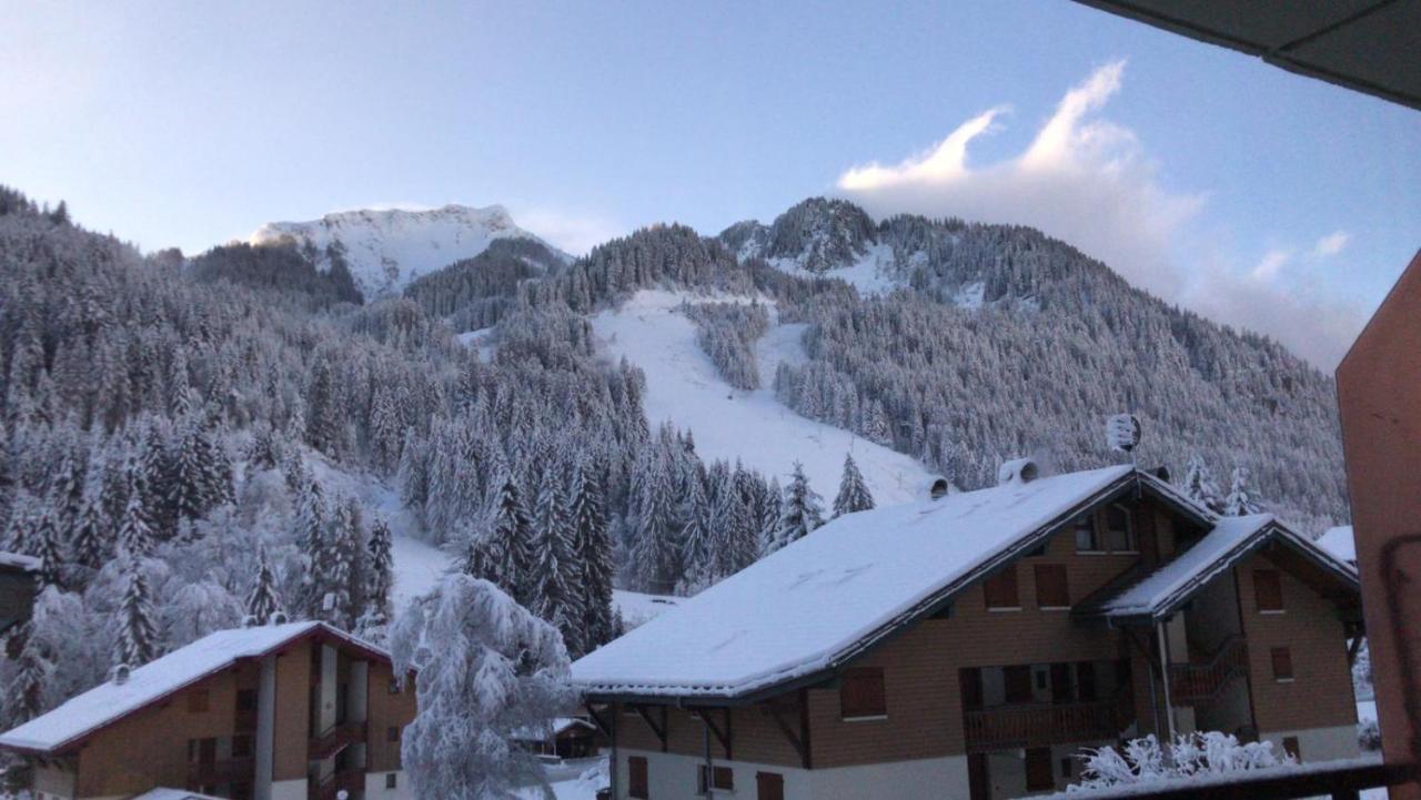 La Montagne « un Coin D'oxygene » * Châtel